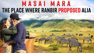 Have You Visited Maasai Mara, The Paradise Where Ranbir Proposed Alia? Watch Video
