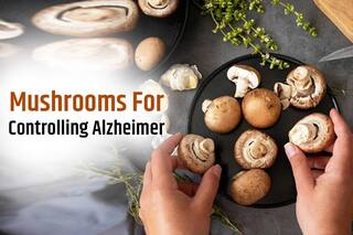 World Alzheimer's Day 2022: Can Mushrooms Help in Controlling Alzheimer
