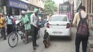 Nihang Sikhs Hack Man To Death For Chewing Tobacco In Amritsar. Horrific Incident Caught on CCTV