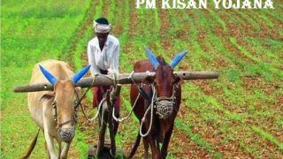 PM Kisan Samman Nidhi Yojana: Here’s What Farmers Must Do To Receive 13th Instalment