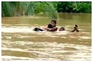 Viral Video: Woman Swims Across Overflowing River With Family   s Help To Appear For Her Exam