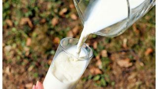 India: From A Milk Deficit Country To World's Largest Producer