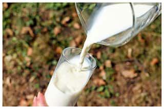 India: From A Milk Deficit Country To World's Largest Producer