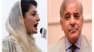 Pak PM Shehbaz Sharif Told Maryam Nawaz's Son-in-law Wants To Import Power Plant From India | Audio Goes Viral