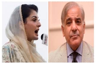 Pak PM Shehbaz Sharif Told Maryam Nawaz's Son-in-law Wants To Import Power Plant From India | Audio Goes Viral