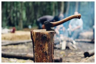 Divine Punishment? Timber Smuggler Crushed To Death By Tree He Was Cutting Down In Budgam