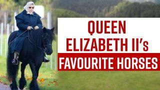 Queen Elizabeth II Loved Horses Since Childhood, A Look At Her Majesty's Favourite Horses | Watch Video