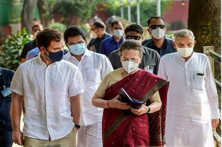 ...तो क्या राहुल गांधी ही करेंगे कांग्रेस का नेतृत्व? पार्टी अध्यक्ष पद को लेकर रणदीप सुरजेवाला का बड़ा बयान