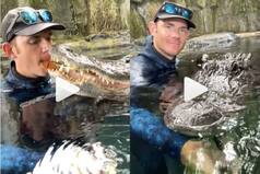 Viral Video: Alligator Gives Man Leaf From His Mouth, Takes Selfie With Him. Watch