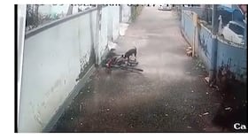 india.com top news