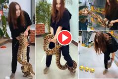 Viral Video: Python Wraps Around Girl   s Leg, Steals Her Shoe. Netizens Say LMAO