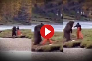 Bhalu Ka Video: भालू के साथ शख्स की हो गई लात-घूंसे वाली लड़ाई, तभी ऐसी जगह किक लगी बेचारा उठ ही नहीं पाया- देखें वीडियो