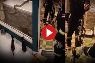 Azgar Ka Video: बाथरूम में निकल आया 12 फुट का लंबा अजगर, देखते ही बिल्ली पर किया अटैक- देखें वीडियो