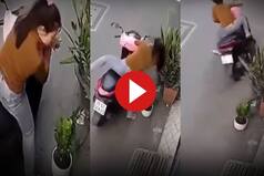 Viral Video: Girl Tries To Steal Plant From Road, Gets Instant Karma. Watch