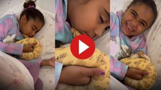 Sanp Ka Video: सांप को सीने से लगाकर सो गई छोटी बच्ची, आजे जो किया सोच भी नहीं सकते- देखें वीडियो