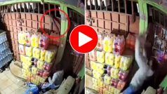 Chor Ka Video: चोर पकड़ने के लिए दुकानदार ने बनाया गजब का प्लान, आते ही जाल में फंसा लिया- देखें वीडियो