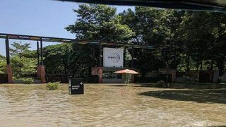 'Learn Swimming, Coding Not Enough': Meme Fest Begins as Bengaluru's Wipro Office Submerges in Water