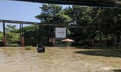 'Learn Swimming, Coding Not Enough': Meme Fest Begins as Bengaluru's Wipro Office Submerges in Water