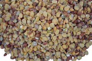 स्टडी में हुआ खुलासा-इस दाल के छिलके में होता है दूध से 6 गुना ज्यादा कैल्शियम, अब जरूर खाएं छिलके वाली दाल