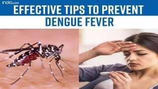 Dengue Prevention Tips: Delhi Witnesses Massive Surge In Dengue Cases, Here's How You Can Protect Yourself - Watch Video