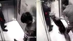 india.com top news