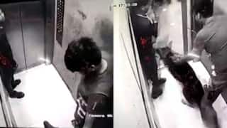 india.com top news
