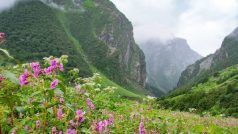 World Tourism Day 2022: अक्टूबर से पहले जरूर घूम लें 'फूलों की घाटी', 91 साल पहले हुई थी खोज