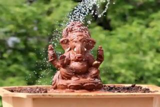 Ganapati Blessings Galore In Maharashtra With Guided Tours Of Ganesh Pandals For Senior Citizens, Tourists