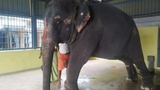 The Tragic Story Of Joymala And Why Is Assam Govt Forced To Take Legal Action Against Tamil Nadu | EXPLAINED