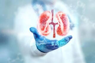 इन कारणों से होता है किडनी इन्फेक्शन, आम से नजर आने वाले 10 लक्षण होते हैं गंभीर