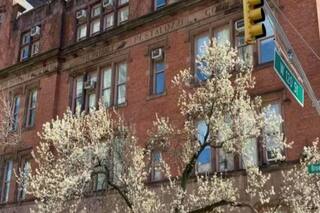 Optical Illusion: Can You Find The 2 Birds Hiding On This Building Within 20 Seconds?