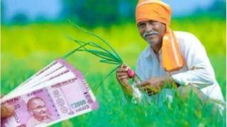 PM Kisan Samman Yojana: किसान सम्मान निधि की 12वीं किस्त इस दिन होगी जारी, डेट हो गई कंफर्म! जानें अपडेट