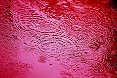 जब भारत में आसमान से बरसी थी 'लाल बारिश', जमीन का रंग देख दंग रह गये थे सभी, फिर पता चली वजह...