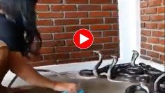 Sanp Ka Video: दर्जनों सांपों को एक साथ नहलाने लगी लड़की, फिर जो नजारा दिखा यकीन ना करेंगे- देखें वीडियो