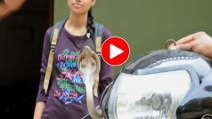 Nagin Ka Video: स्कूटी चलाने के लिए जैसे ही बैठी लड़की सामने नजर आई नागिन, फिर जो हुआ घरवाले भी हिल गए- देखें वीडियो