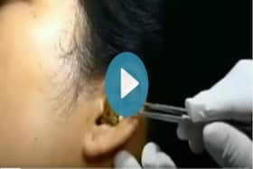 india.com top news