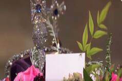 Video: Spider's 5 Seconds To Fame Atop Queen Elizabeth II's Coffin | Watch