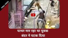 Viral Video: बंदर ने शख्स को दी WWE जैसी पटखनी, वीडियो देख हंसी से लोट-पेट हो जाएंगे आप | Watch Video