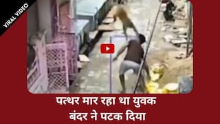 Viral Video: बंदर ने शख्स को दी WWE जैसी पटखनी, वीडियो देख हंसी से लोट-पेट हो जाएंगे आप | Watch Video