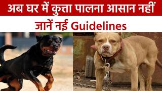 Pet Owner New Guidelines: अब घर में आसान नहीं होगा कुत्ते पालना, इस शहर ने जारी की नई गाइडलाइन | Watch video