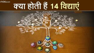 पूर्वजन्म का ज्ञान से लेकर अंतर्ध्यान तक, इन 14 विद्याओं को सिख आप पा सकते हैं पूर्ण ज्ञान। Watch Video