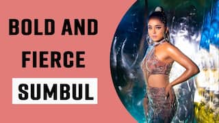 Sumbul Bold Looks: Sumbul Touqueer Khan Aka Imlie's Offscreen Gorgeous Avatars Will Leave You Speechless, Watch Video