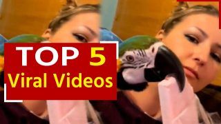 Viral Video: मालकिन की पीठ पर बैठकर तोते ने चटकारे लेकर खाई आइसक्रीन, देखें मजेदार वीडियो
