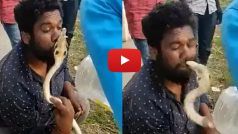 Sanp Ka Video: रेस्क्यू के बाद कोबरा को किस करने लगा शख्स, बदले में उसने भी दे दी पप्पी | देखिए वीडियो