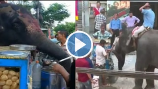 Viral Video: Elephant Spotted Enjoying Panipuris At Roadside Stall in Assam, Internet Says 'What a Cutie' | Watch