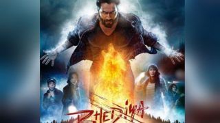 Bhediya Movie Review LIVE Updates: Varun Dhawan Gives Top-Notch Performance in Howling Entertainer - Check Twitter Reactions