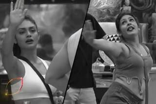 BB16: Gori Nagori - Sreejita Get Into Ugly Fight After Latter's 'Standard Less' Remark
