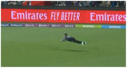 WATCH: Glenn Phillips Pulls Off Screamer to Send Marcus Stoinis Packing in AUS vs NZ Match