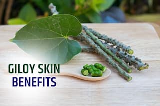 Giloy Skin Benefits: 6 Reasons Why You Need to Use This Medicinal Plant For Glowing Skin