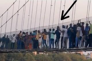 Morbi Bridge Collapse: कैसे गिरा पुल और क्यों गई 135 लोगों की जान, पुल हादसे में बड़ा खुलासा, जानिए